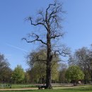 하이드파크 이미지