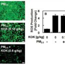 상왕십리경희한의원 이미지