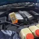 YC인터내셔날 이미지