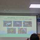 인천의 깃대종 이야기 이미지