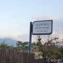 섬섬하우스 | ITX-청춘 2층석 타고 떠난 남이섬 여행 1일차 (섬섬하우스, 하나로마트 강력 추천)