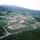 탐라대학교 국제뉴스