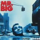 미스터빅 이미지