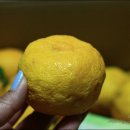 문성농장2 이미지