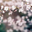 스며들가 이미지