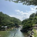 푸른펜션 | 충북 괴산 쌍곡계곡 푸른숲맑은물 펜션 후기(숙소, 평상, 주차장)