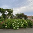 성산읍 푸른마을 이미지