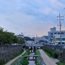 운수대박춘천닭갈비 이미지