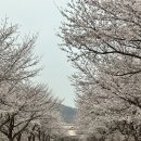 CU 하동섬진강점 이미지