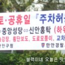 중앙시장 부림저축은행 이미지