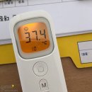 주영화실 | 11월, 빈약한 일상.