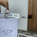 멜유