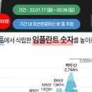 석플란트치과병원