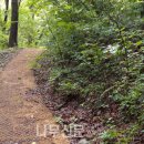 유명산 네이버블로그