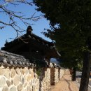 돌담추억 이미지