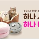무릎냥이동동이네 - 김해시 장등로 15 | 무릎냥이동동이네