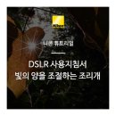비유니콘