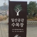 영락장례장묘 | 은평성모병원 장례식장 감동후기