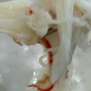 하나유통 | 강원도양양맛집추천 코스로 저장한 강원고성맛집 리스트