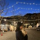 밀양댐스쿨캠핑장 이미지