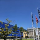 스피드메이트 이케아광명점 이미지