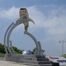 신비바이크 이미지