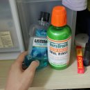 RB덴탈 네이버블로그