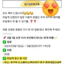 야놀자 번개 만남, 노른자 로드 in Busan 후기