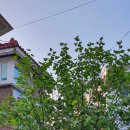 원진어린이집 이미지