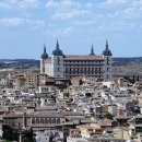 분당우리동물의료센터 | 경기광주 근처동물병원 분당우리동물의료센터 에방접종비용