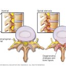 동서연합의원 이미지