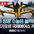 2024 싱가포르 국제에어쇼 블랙이글스 개막비행 이미지