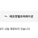 엘앤피코퍼레이션