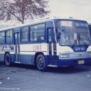 삼양버스 745번 BM090 Royal Midi 이미지