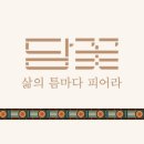 담꽃 이미지