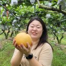 JK로컬푸드 | 하루건강, 10년의 신뢰, 반품률 0% 김혜수 대표의 운영 철학