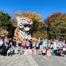 하늘합기스쿨 이미지