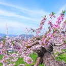 선웅농원 이미지