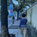 몽키김밥 | 호이안 새벽시장 구경/ 포퉁 호이안 쌀국수 맛집/ 쏘이(찰밥)/ 현지 김밥 맛보기