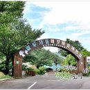 버섯마을 이미지