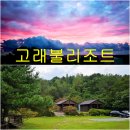 울진 영덕 오션뷰의 통나무펜션/가족펜션/고래불리조트
