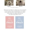 로사에이치(rosa.h)