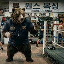 원스복싱 이미지