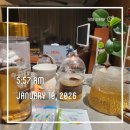 미리안나비 | 인체정화 집중해독 회복 스토리, 10일 나비효과 체험 후기