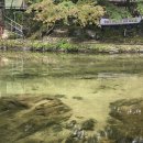 용수그린랜드 이미지