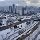 생성의 문(生成의 | AI의 초인적 활용과 전체인 개인: 기말 후기