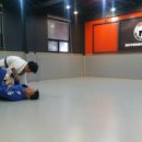 용인대 합기도 주짓수 이미지