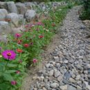 나무펜션 이미지