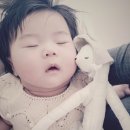 [리얼후기/50일촬영/100일촬영/청주아기스튜디오/메르시스튜디오] 사진으로 기록하는 날!