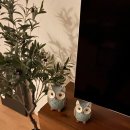 홀드인함덕 이미지